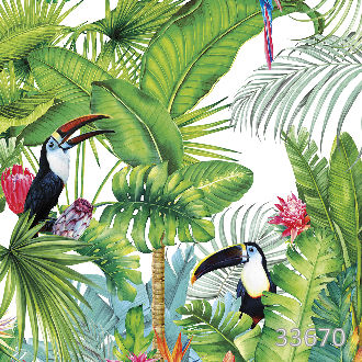 Amazonia