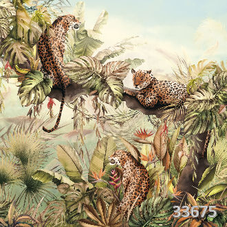 Leopards sun