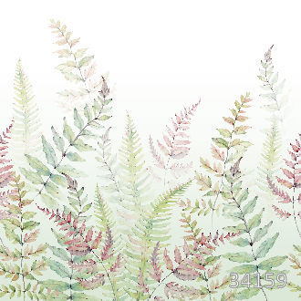 Fern