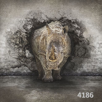Носорог